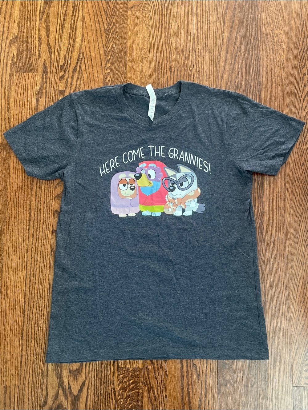 Dark Gray/Blue Graphic Tee - "Here Come The Grannies"